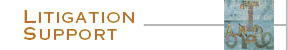 Litigation Support